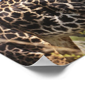 Auf Safari in Tansania, Afrika. Poster (Ecke)