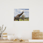 Auf Safari in Tansania, Afrika. Poster (Küche)
