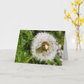 Auf Samen gehen Karte (Gelbe Blume)