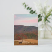 Auf Sonnenuntergang angelegter Golfplatz Postkarte (Stehend Vorderseite)