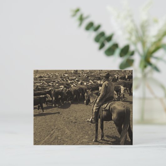 Auf Texas Ebenen unter dem Himmel von Blau Postkarte (Stehend Vorderseite)