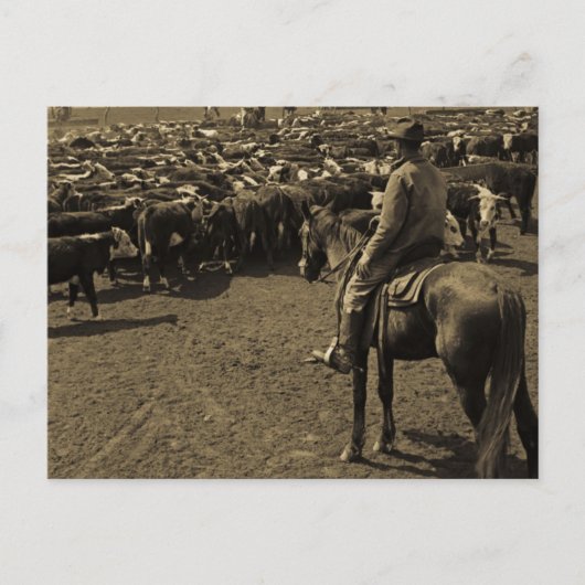 Auf Texas Ebenen unter dem Himmel von Blau Postkarte (Vorderseite)