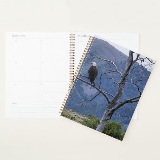 Auf Watch Planner Planer (Anzeige)