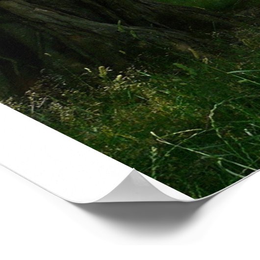 Auf Weide aussetzen Poster (Ecke)