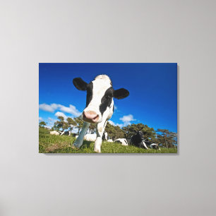 Auf Weide fütternd Kühe 2 Leinwanddruck