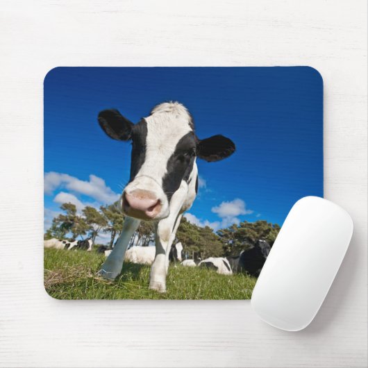 Auf Weide fütternd Kühe 2 Mousepad (Mit Mouse)