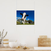 Auf Weide fütternd Kühe 2 Poster (Küche)