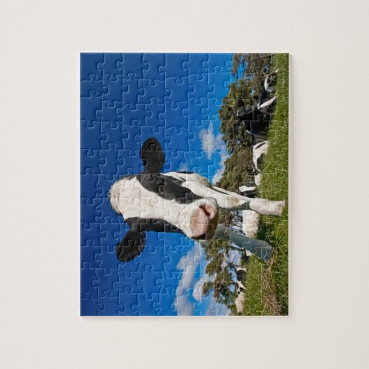 Auf Weide fütternd Kühe 2 Puzzle (Vertikal)