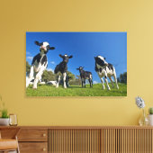 Auf Weide fütternd Kühe Leinwanddruck (Insitu (Wohnzimmer))