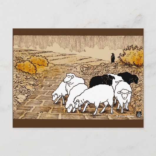 Auf Weide gehen Postkarte (Vorderseite)