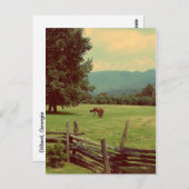 Auf Weide Postkarte (Vorne/Hinten)