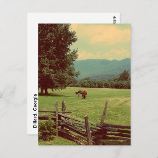 Auf Weide Postkarte (Vorne/Hinten)