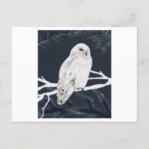 Auf White Winter owl Perches haben wir Kick Postkarte