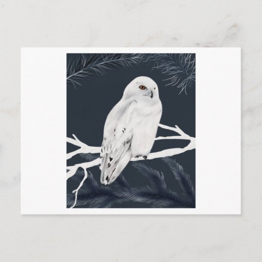 Auf White Winter owl Perches haben wir Kick Postkarte (Vorderseite)