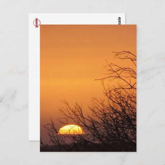 Auf Wiedersehen einer "Sunset-Postkarte" Postkarte (Vorne/Hinten)