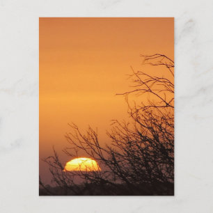 Auf Wiedersehen einer "Sunset-Postkarte" Postkarte