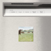 Auf Wiese stehende Kühe Magnet (In Situ (Geschirrspüler))