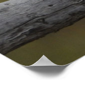 Auf Zaun II - Poster/Print Poster (Ecke)