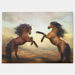aufbäumende Pferde Magnet
