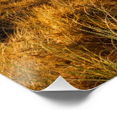 Aufblähung des Inspirationspalms 37:4 Poster (Ecke)