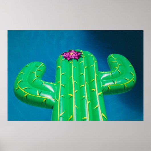 Aufblasbare Kaktus Poster (Vorne)