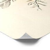 Aufblühen unter ihrer Obhut Poster (Ecke)