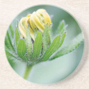 Aufblühende Blume des Kegels Blumen Untersetzer
