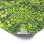 aufbrechen poster (Ecke)