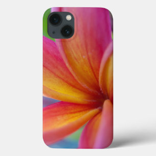 Auffallend rosa tropische Plumeria-Blume Case-Mate iPhone Hülle