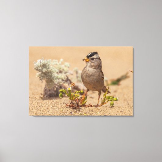 Auffallende Pose Leinwanddruck (Vorderseite)