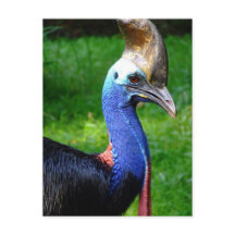 Auffallende Profilansicht des Kassenführers und de