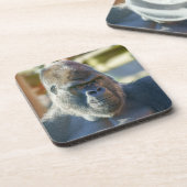 Auffallende Silverback Getränkeuntersetzer (Linke Seite)