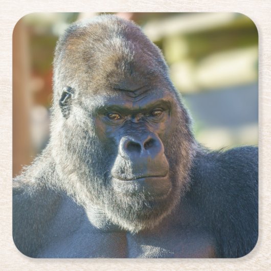 Auffallende Silverback Rechteckiger Pappuntersetzer (Vorderseite)