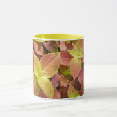 Auffallendes Buntlippen-Blätter Tasse (Zentrum)