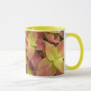 Auffallendes Buntlippen-Blätter Tasse