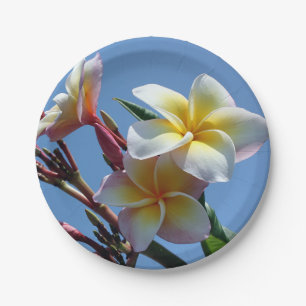 Auffällige Plumeriafrangipani-Blüte Pappteller