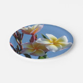 Auffällige Plumeriafrangipani-Blüte Pappteller (Schrägansicht)