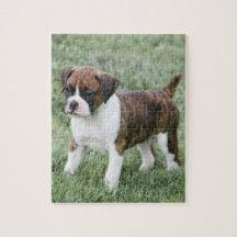 Auffälliger Brindle Boxer-Welpe -
