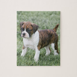 Auffälliger Brindle Boxer-Welpe - Puzzle
