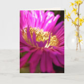 Auffinden des Lichts - Makrofotografie-Karte Karte (Gelbe Blume)