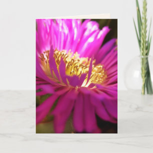 Auffinden des Lichts - Makrofotografie-Karte Karte