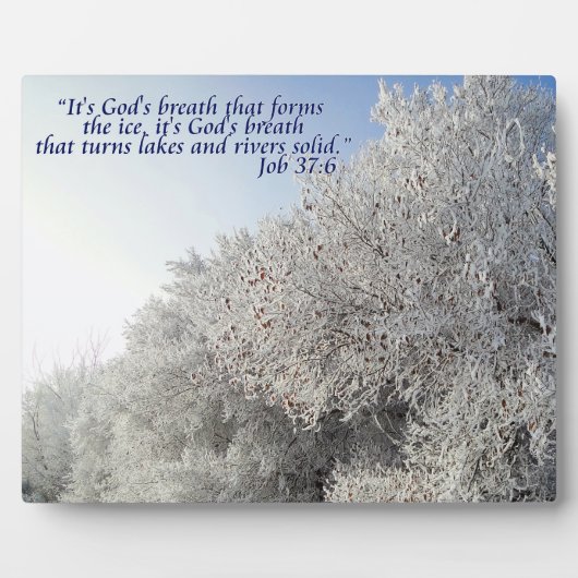 Aufgabe 37:6 Inspirationische Winterlandschaft Fotoplatte (Vorderseite)