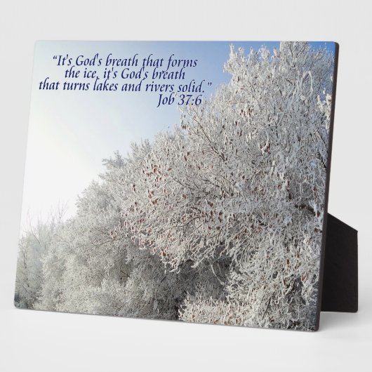 Aufgabe 37:6 Inspirationische Winterlandschaft Fotoplatte (Seite)