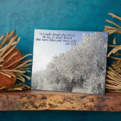 Aufgabe 37:6 Inspirationische Winterlandschaft Fotoplatte (Seite)