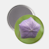 aufgeblasener Magnet (Vorderseite/Rückseite)