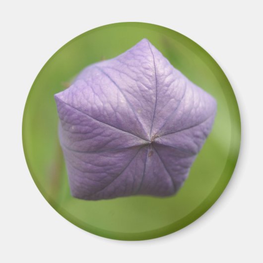 aufgeblasener Magnet (Vorne)