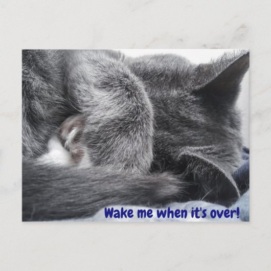 Aufgekurbelte Kitekarte Postkarte (Vorderseite)