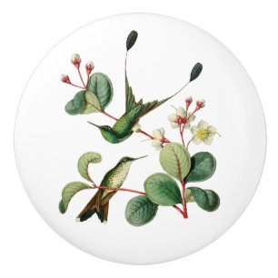 Aufgeladener Schläger-Schwanz-Kolibri Keramikknauf