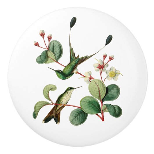 Aufgeladener Schläger-Schwanz-Kolibri Keramikknauf (Vorderseite)