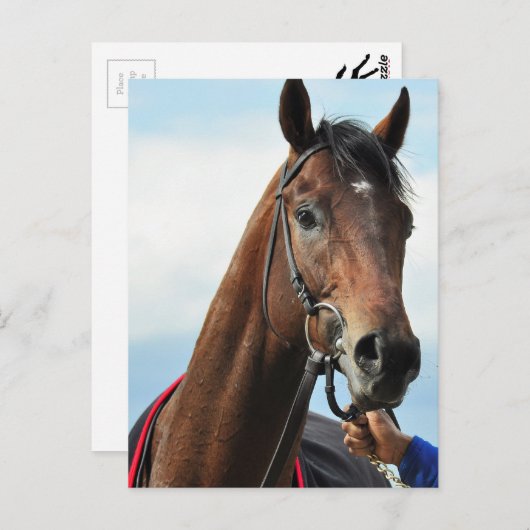 aufgelöst postkarte (Vorne/Hinten)